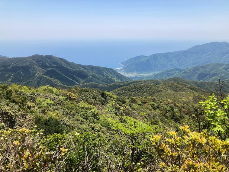 甫与志岳