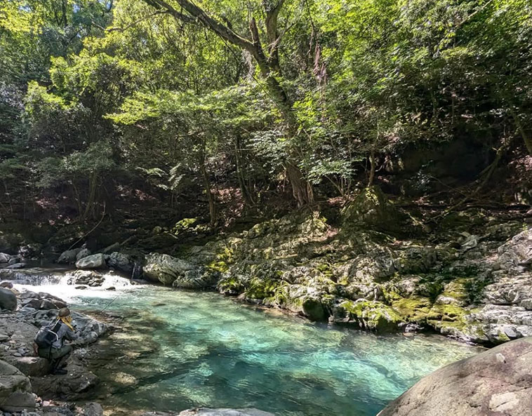 九州脊梁山地の奥深い渓