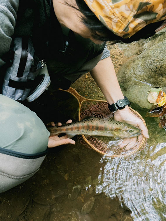 尺山女魚