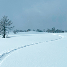 雪板ビギナーにはピッタリの気持ち良い緩斜面