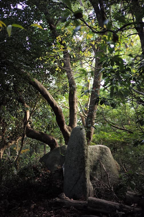 Happy Hikers ハッピーハイカーズ