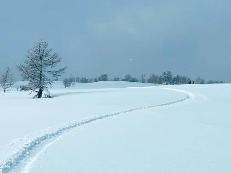 雪板ビギナーにはピッタリの気持ち良い緩斜面